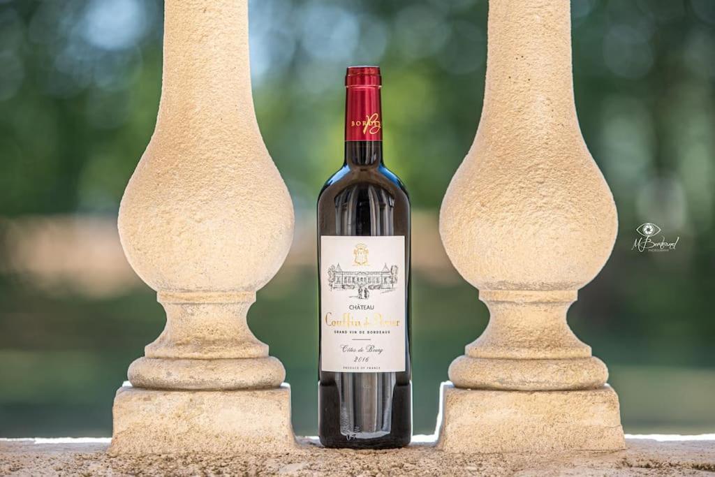 Chateau Couffins Asques Eksteriør billede